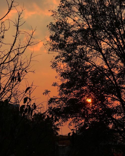 Pretty please  • • • #sunset #onfire #landscapes #natureshots #art #artgram #shot #be