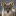 kragehund-again:coyotepilledd:i’m insanely addicted to oikos greek yogurt i eat