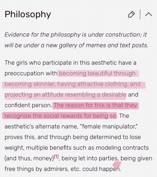 I Just Came Across The Aesthetic Wiki For Waif And Im Obsesseddddd