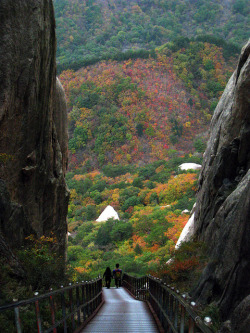 visitheworld:  Path to Ulsan Bawi Rocks in Seoraksan National Park, South Korea (by Yoshi).