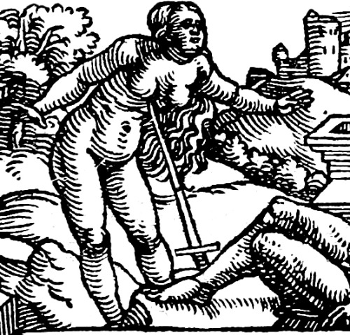 Anatomiae, hoc est, corporis humani dissectionis pars prior, 1537