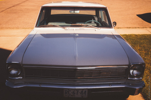 thisherelight:  1966 Chevy II / crossfield / alberta / i.m. ruzz even gutless wonders become stars if you wait long enough.