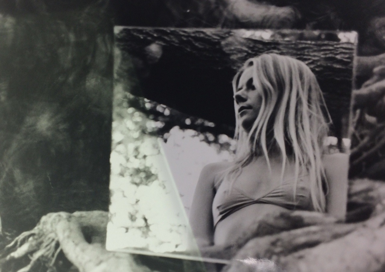 DANA TRIPPE