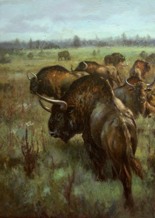 superterrane:Bison priscusauthor: Troco