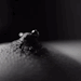 salubrious-sybarite: