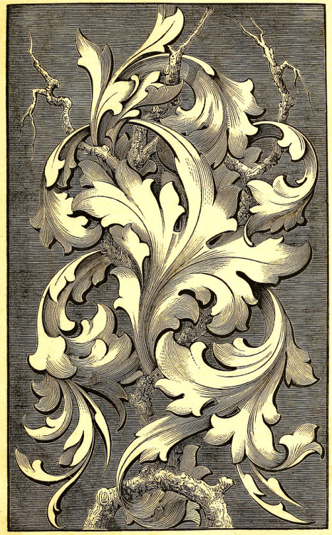 lychens: A design for curvilinear foliage. “The Decorator’s Assistant”, Vol. III, 1848.