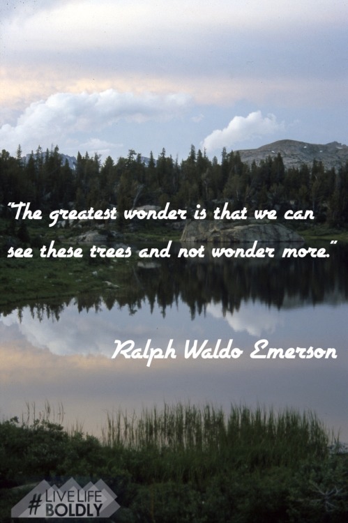 “The greatest wonder is that we can see these trees and not wonder more.” Ralph Waldo Em