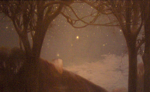suonko:  by Firmin Baes /detail/