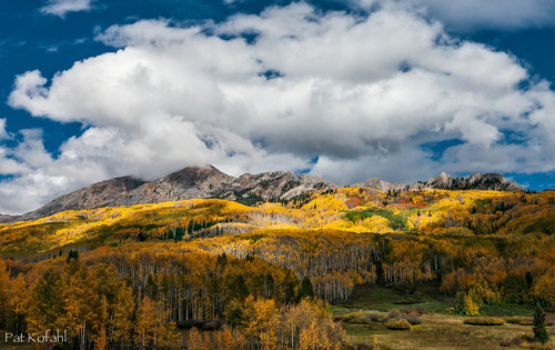 connor-burrows: Fall Aspens – Crested Butte, Colorado by PatKofahl