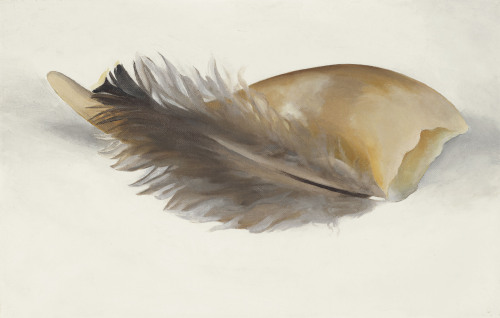 oncanvas:Horn and Feather, Georgia O'Keeffe, 1937Oil on canvas9 x 14 in. (22.9 x 35.6 cm)