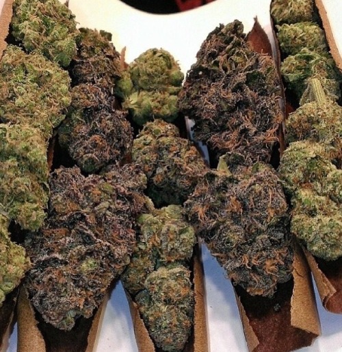 o-holy-weed:  passthejoint-weed:  Yo quiero  Yo también