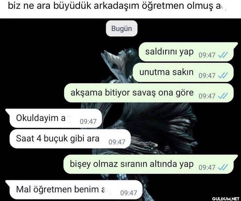 biz ne ara büyüdük...