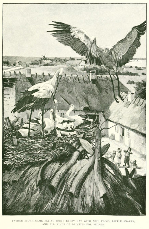 Hans Tegner (1853-1932), “Fairy Tales and Stories” by Hans Christian Anderson, 1900Sourc