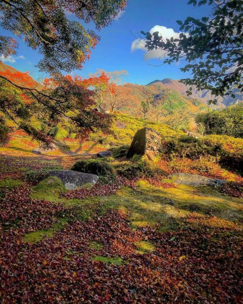 永源寺含空院庭園 [ 滋賀県東近江市 ] Eigenji Temple Gankuin Garden, Higashiomi, Shiga の写真・記事を更新しました。 ーー湖東三山と並ぶ滋賀の紅葉の