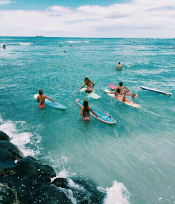 asurferdreams:  Surfing posts