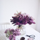 reachingfortheday:ALTvico ortiz i am obsessed with you(source)