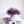 reachingfortheday:ALTvico ortiz i am obsessed with you(source)