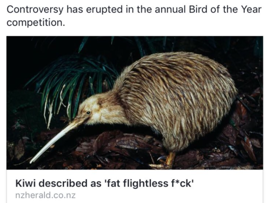 biggest-gaudiest-patronuses:biggest-gaudiest-patronuses:biggest-gaudiest-patronuses:biggest-gaudiest-patronuses:i recommend keeping an eye on New Zealand news. not bc of politics or anything, but bc of the HILARIOUS DISCOURSE happening over the 2020 Bird