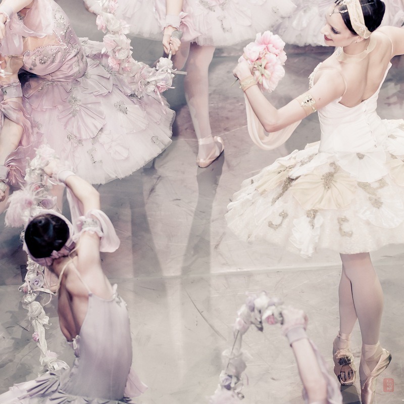 marthajefferson:lasylphidedubolchoi:Mikhailovsky’s Le CorsairePhotos by Nikolai