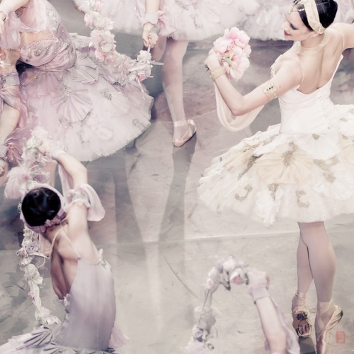 marthajefferson:lasylphidedubolchoi:Mikhailovsky’s Le CorsairePhotos by Nikolai Krusser