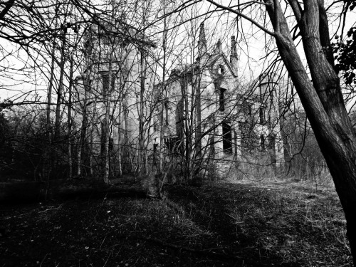 Porn photo erikpetrieartwork:Cambusnethan Priory: 05.03.2015