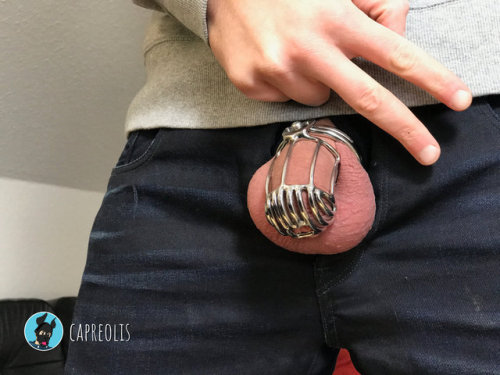 chastity-puppy-nl: capreolis: The cage really feels so good Have a nice day everyone  Sexy puppy!