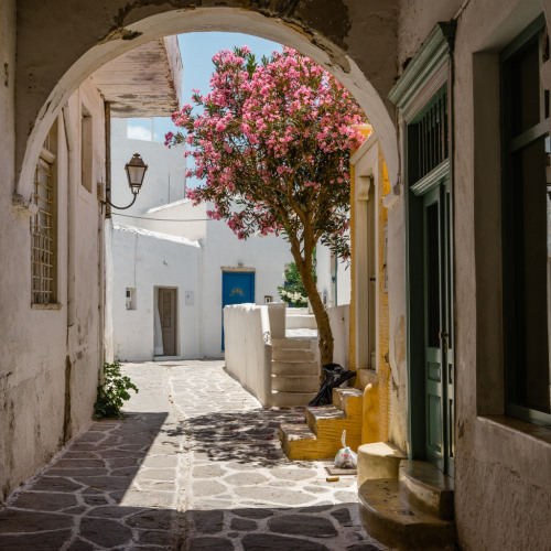 allthingseurope:Paros, Greece (by Victor Shum)