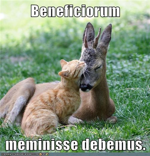 Beneficiorum meminisse debemus.We should be mindful of kindness.(From Bestiaria Latina Blog.)