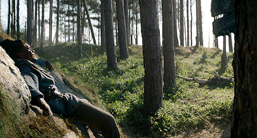@gameofthronesdaily's HOTD SEASON 2 APPRECIATION WEEKDay One: Dragon(s) Seasmoke