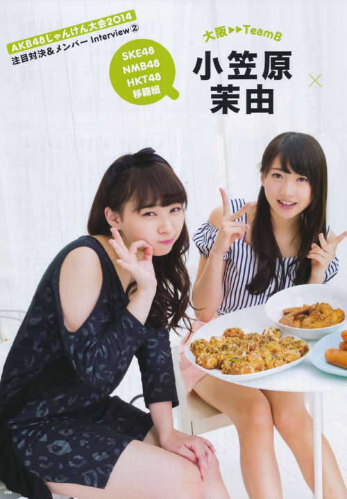 Janken Taikai Guidebook 2014
