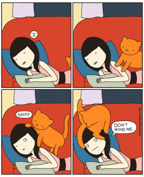 catversushuman:  My head must be comfortable.