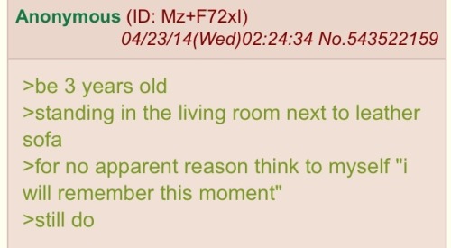 pyronoid-d: pyronoid-d:  Still think my fave greentext story is “I will remember this some day”   
