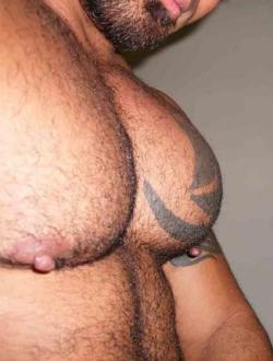 NH Muscle Bear