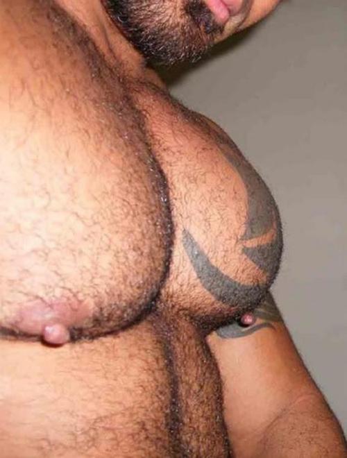 Porn NH Muscle Bear photos