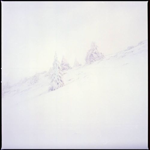 La dole, #hasselblad #mediumformat #500cm #kodak #ektar100 #stcergues#photography #winter #snow #out