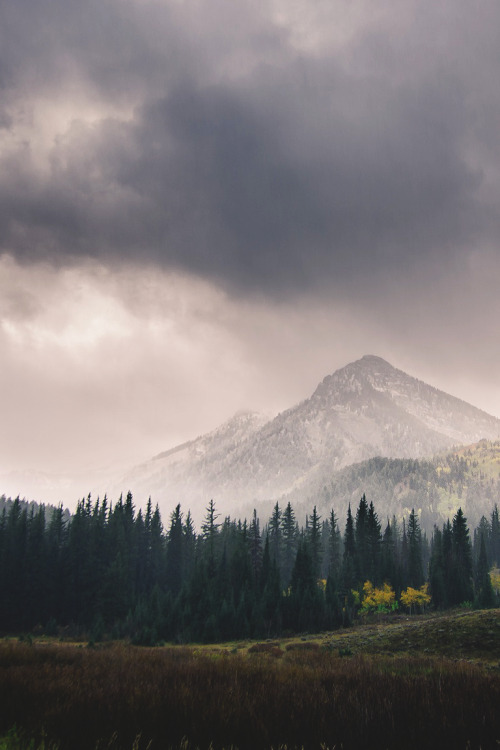 wnderlst:Stormy Mountain | nlarson801