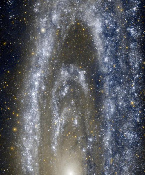 startswithabang:  Mostly Mute Monday: Our Nearest Galaxy In Three Unique Views“Ultraviolet images from Swift and GALEX showcase the hottest, youngest, bluest stars, which are found in clusters along the spiral arms and in the very center. In the infrared,