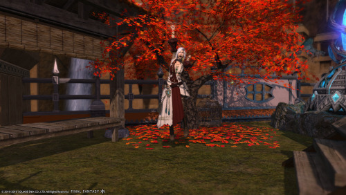 14 Aquapolis runs later, and I got the FC the maple tree (and its matching leaf pile!)(Well…the tree