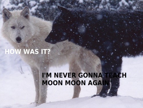adventurelly:  Moon Moon hunting :D Hope you like it… 