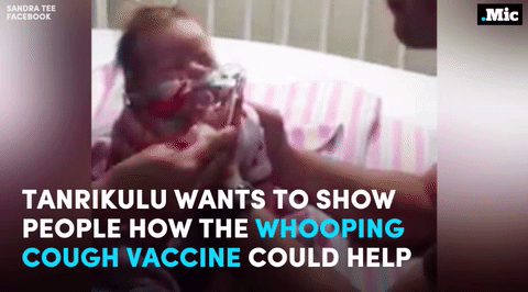 sourcedumal: jackburtonsays:  homoglobinopathy:  the-future-now:  this is why we