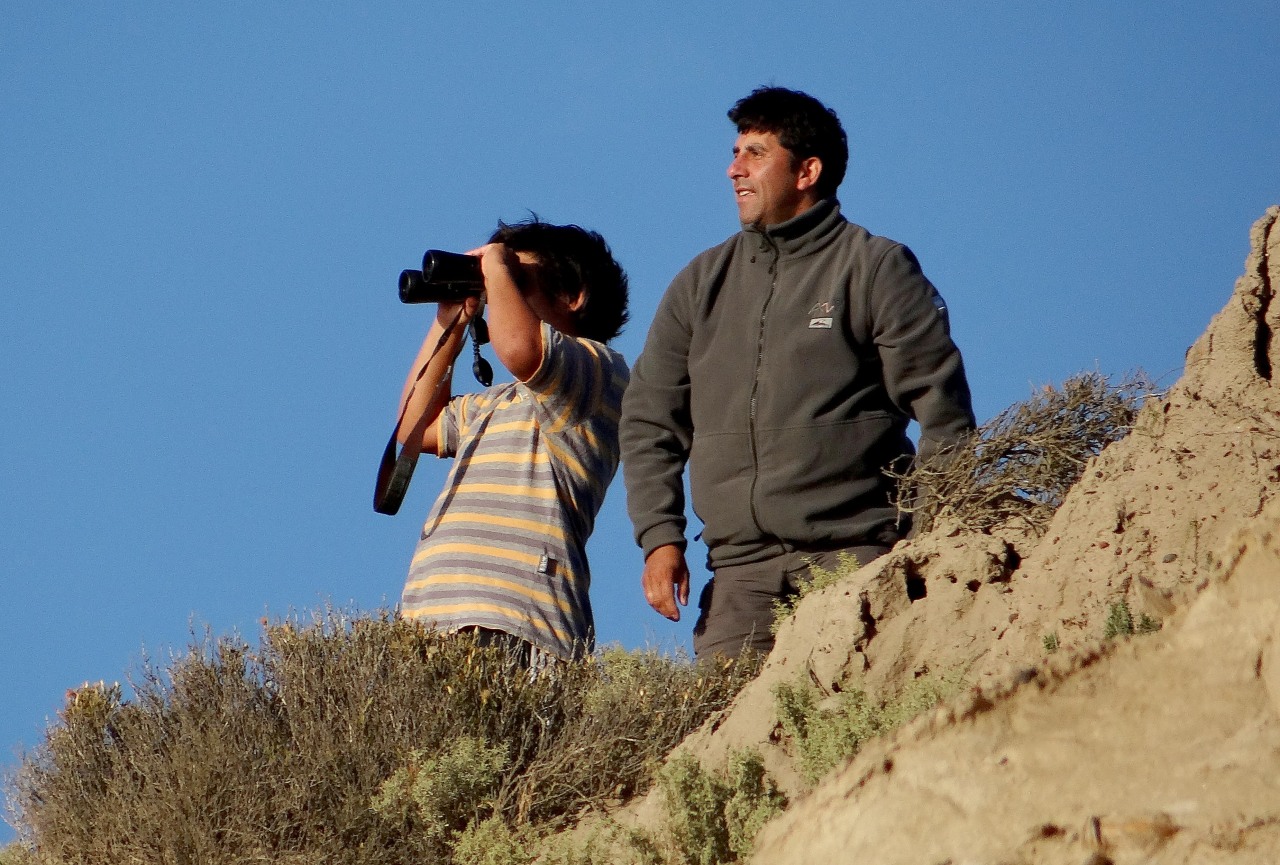 AMIGAS CERCANAS. El guardafauna Roberto Raffa logró filmar a un grupo de orcas bajo el agua en la reserva de Caleta Valdés.