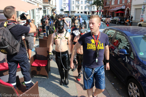 Human pups out and about “walkies” at Folsom BerlinYou can learn more about human pup play here: http://SiriusPup.net http://TheHappyPup.com http://PupSafeProject.org 