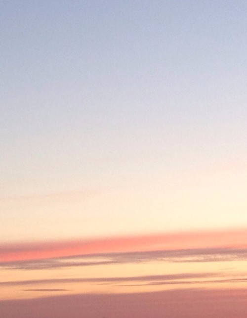 pondkid: todays aesthetic was very peachy ☺️ ig: emmsia_