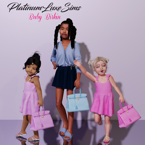  | Hermès Baby Birkin |Accessory for Toddlers & Pose Pack• Smaller & slimmer than my origina