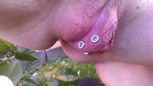 pussymodsgalore: pussymodsgalore Lovely pierced alfresco pussy, prominent inner labia with what cou