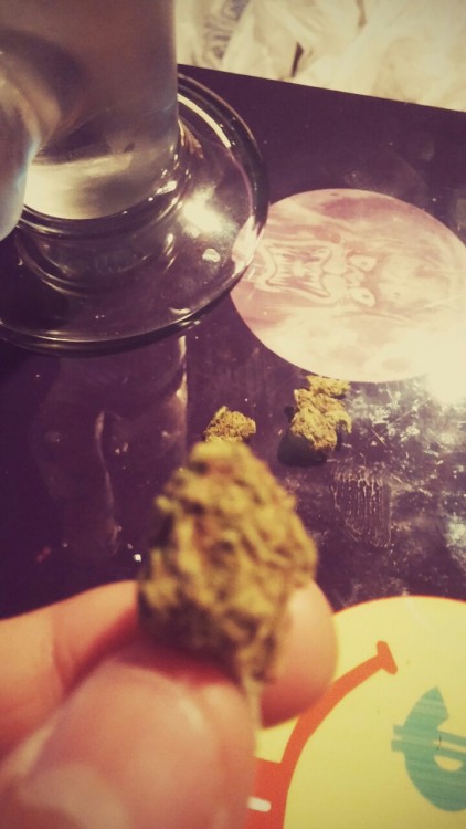 blowmelikekushhh:  R.I.P. Beautiful Nugs, You Will Be Smoked