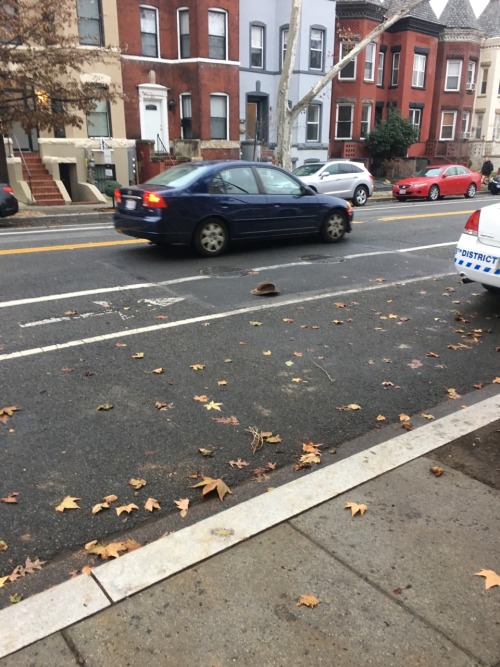 Two hats one black one brown Sit in the bike lane, waiting For the next strong gust.