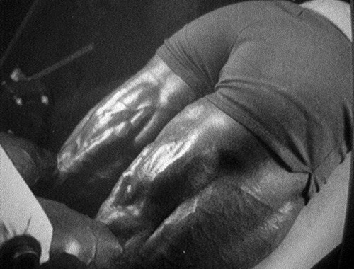 muscpowr:  Leg curls yeah!