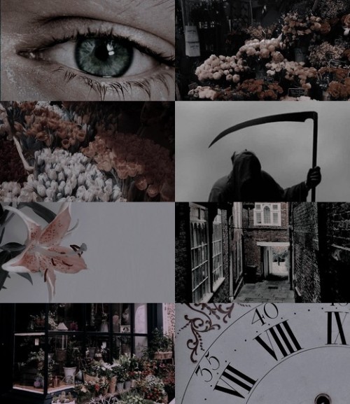 fanfiction aesthetics               ↳ Don’t Fuck With Florists (They’ll Fuck You Up) b