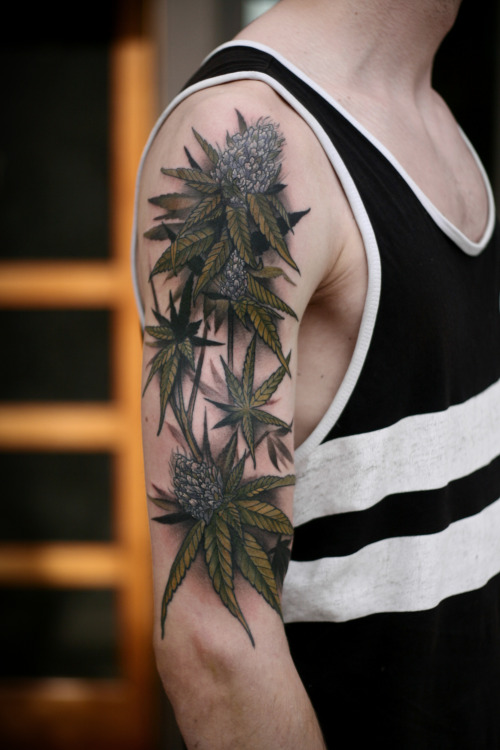 Cannabis by Sean Wright &mdash;&gt;@seanwrighttattoos